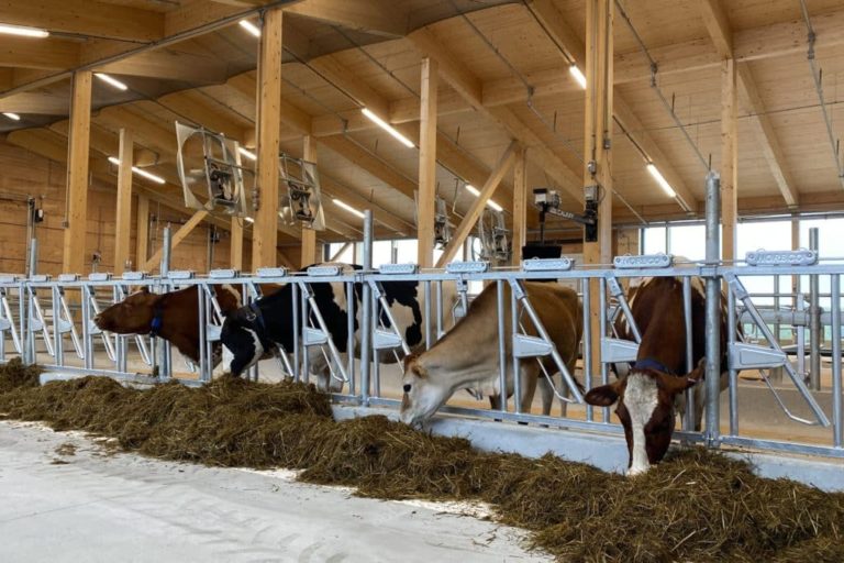 Bristol County Agricultural High School Begins Using State-of-the-Art Milking Robot at New Dairy Barn